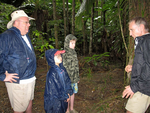 Daintree Rainforest